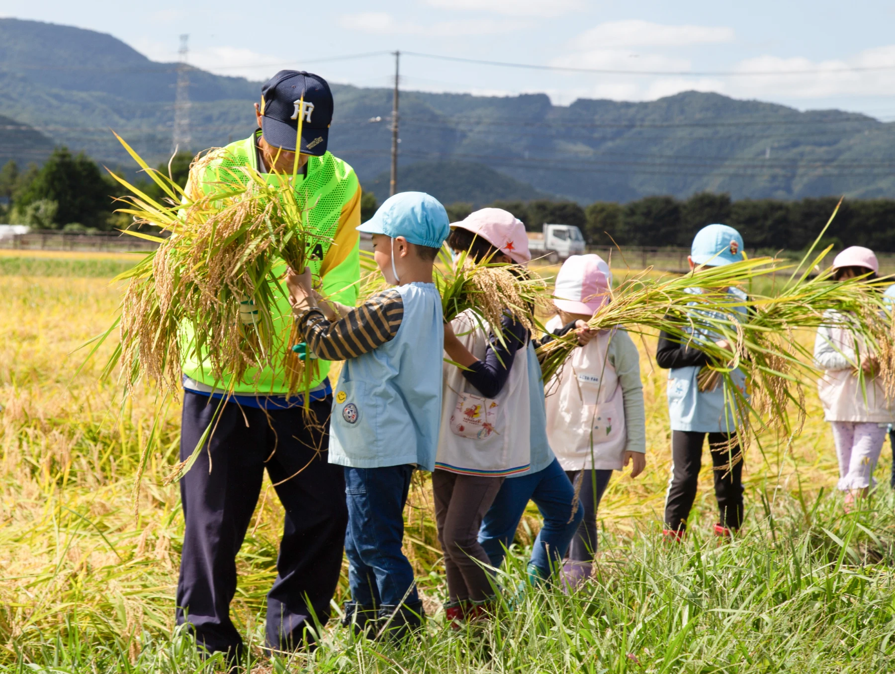 子どもたちが田んぼで稲刈りをする様子